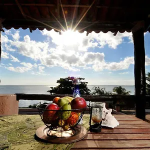 departamento-cenzontle.quintano-roohotels.com/